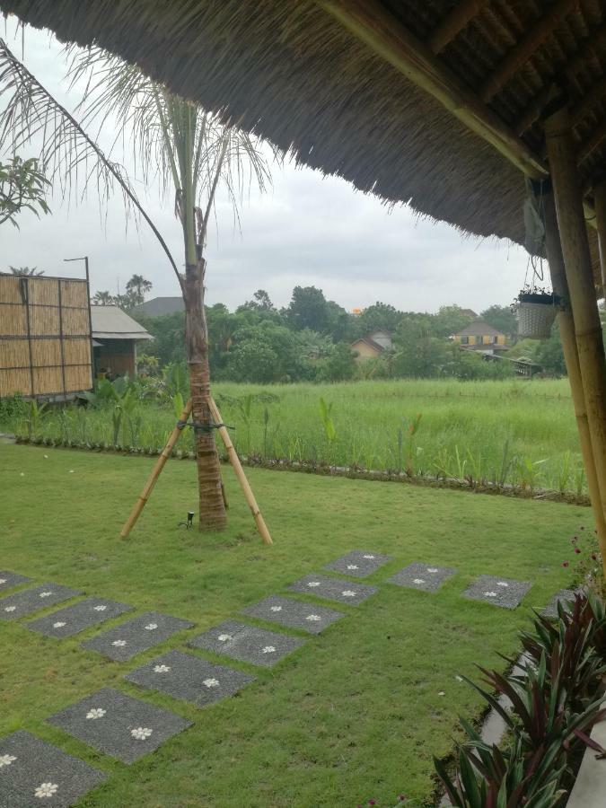 Hello Canggu Homestay Extérieur photo